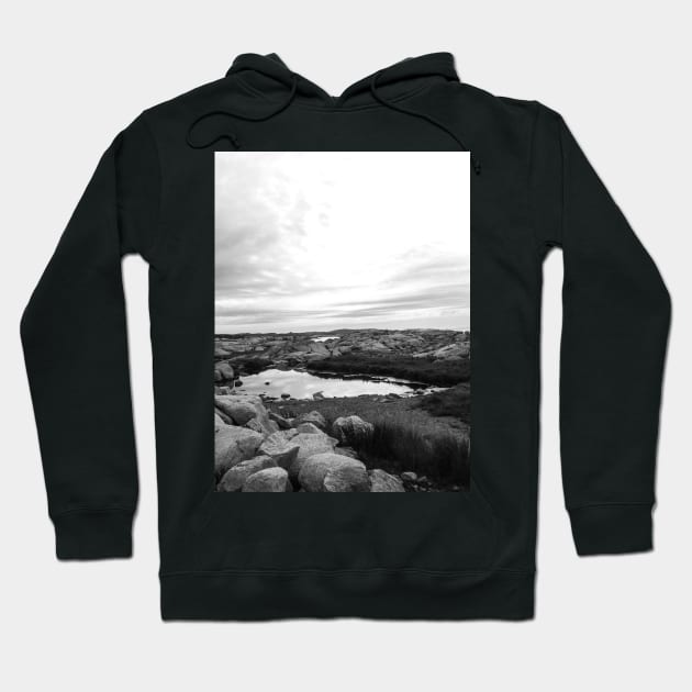 Rocky Shore Hoodie by rconyard